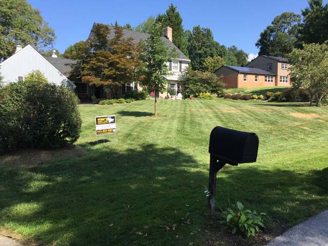 catonsville ellicott city lawn mowing company vins total care local lawn mowing service