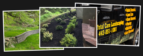 catonsville, md landscaping services