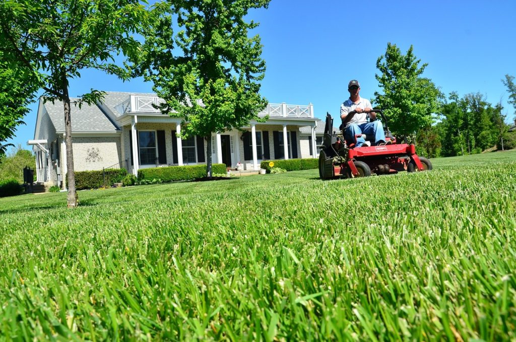 Should I Pick up Grass Clippings?