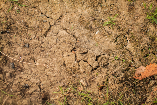 land erosion backyard landscape problem