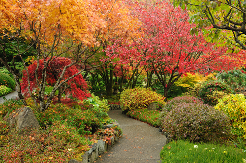 fall landscaping tips