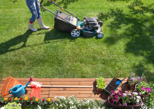 spring cleaning for lawn